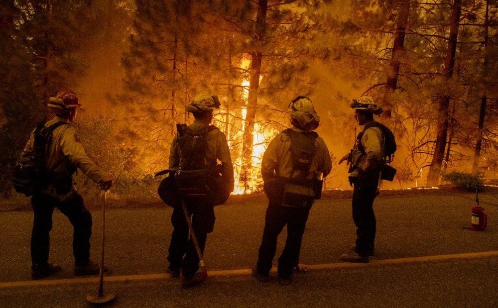 California'da orman yangınları evleri küle çevirdi - 5