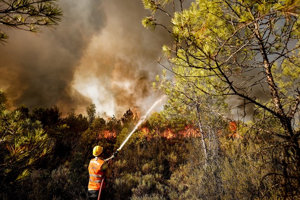 Alevler Hızla İlerliyor 14 Antalya/Manavgat