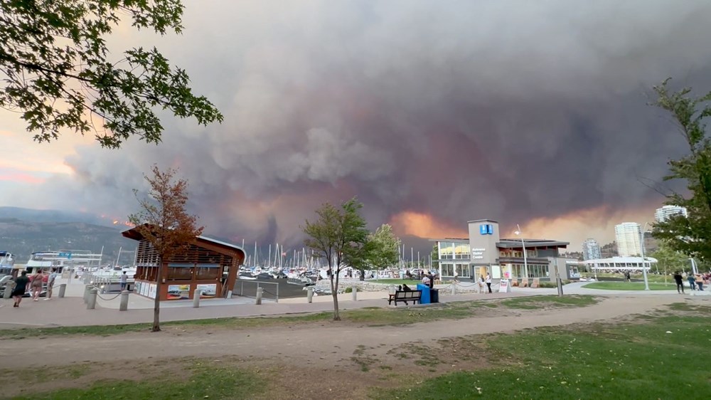Kanada'da orman yangınları: Ankara büyüklüğünde bir alan kül oldu - 9