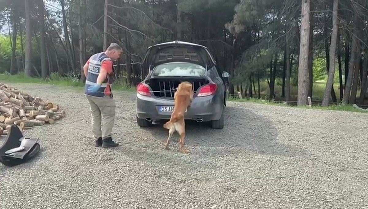 Narkotik köpeği tepki verdi, aracın bagajından paket paket uyuşturucu çıktı