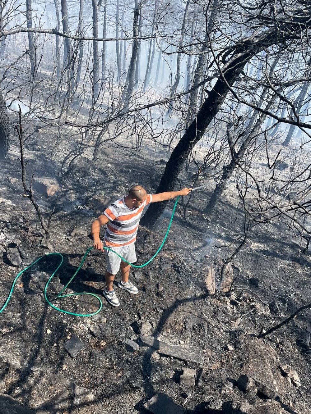 İstanbul Maltepe'de orman yangını - 12