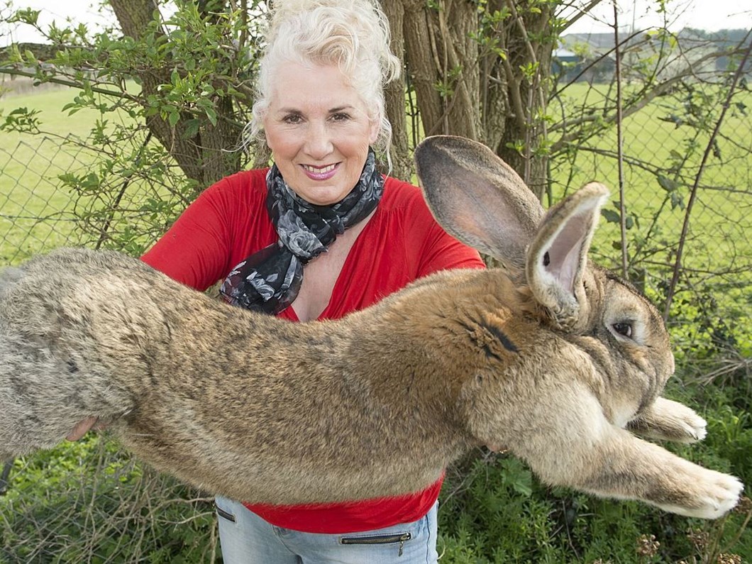 eski playboy modelinin sahip oldugu