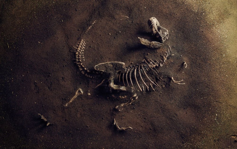 Araştırma: Dünyanın en uzun dinozoru bulunmuş olabilir - 3