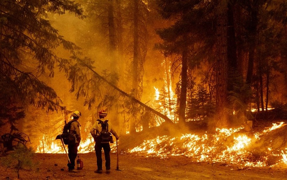 California'da orman yangınları evleri küle çevirdi - 3