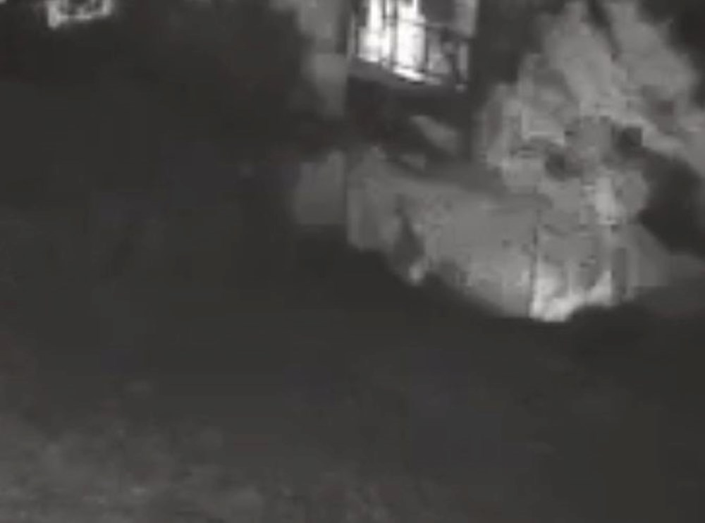 Bozcaada'yı yakacaktı! Otluk alanı ateşe veren şüpheli kamerada - 5