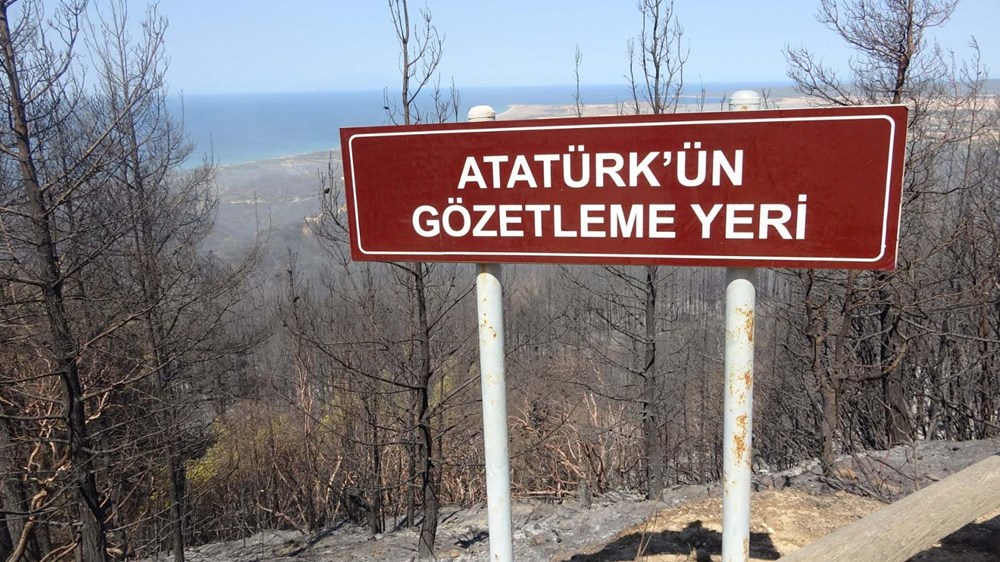 Bolu, Manisa ve İzmir'de orman yangını: Çanakkale'deki yangın kontrol altında - 26