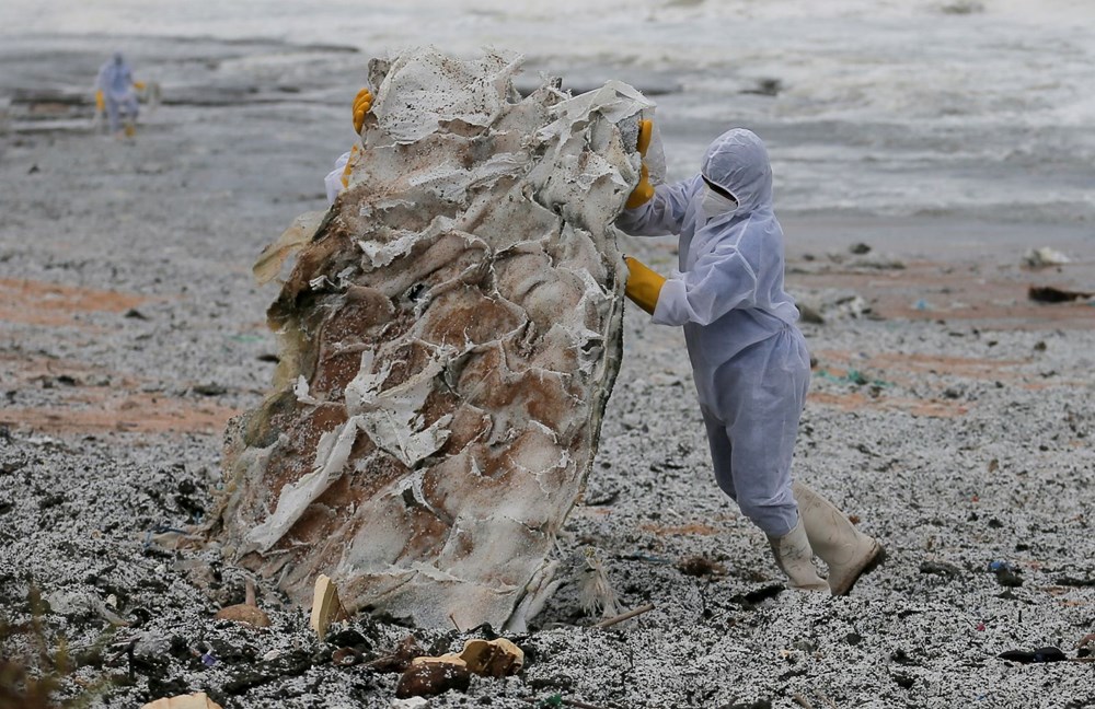 sri lanka sahilleri plastik kar örtüsüyle kaplandı: uzmanlardan çevre felaketi uyarısı 7 8