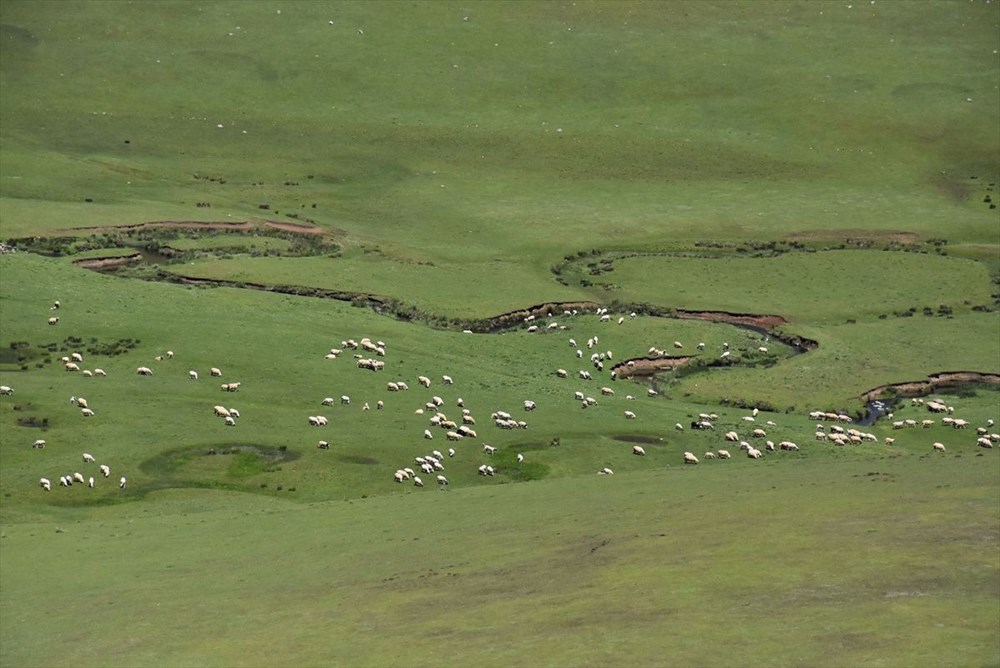 Karadeniz'in menderesleriyle ünlü Perşembe Yaylası doğaseverleri ağırlıyor - 16