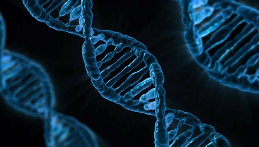 Antik DNA'lar araştırıldı