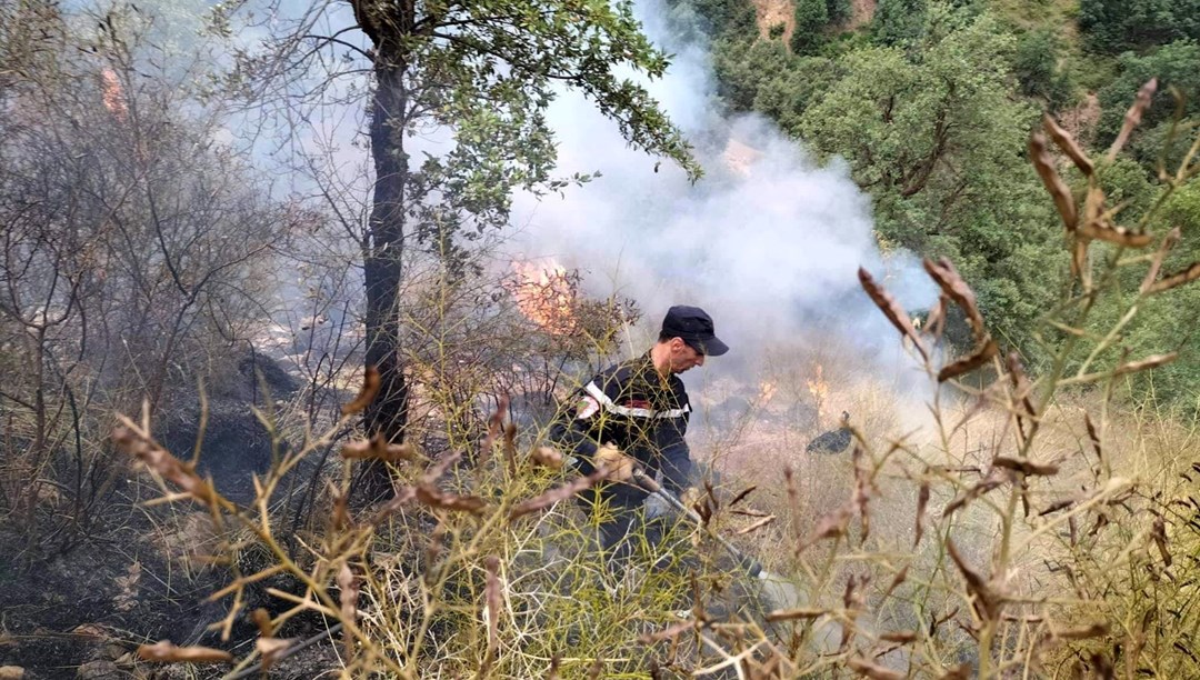 Cezayir'de orman yangınları: 26 kişi yaşamını yitirdi