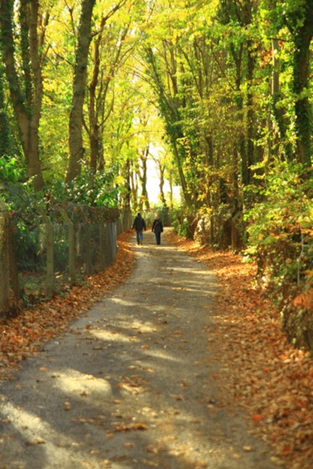 İstanbul'a yakın hafta sonu gidilebilecek yerler (İstanbul'a yakın gezilecek yerler) - 43