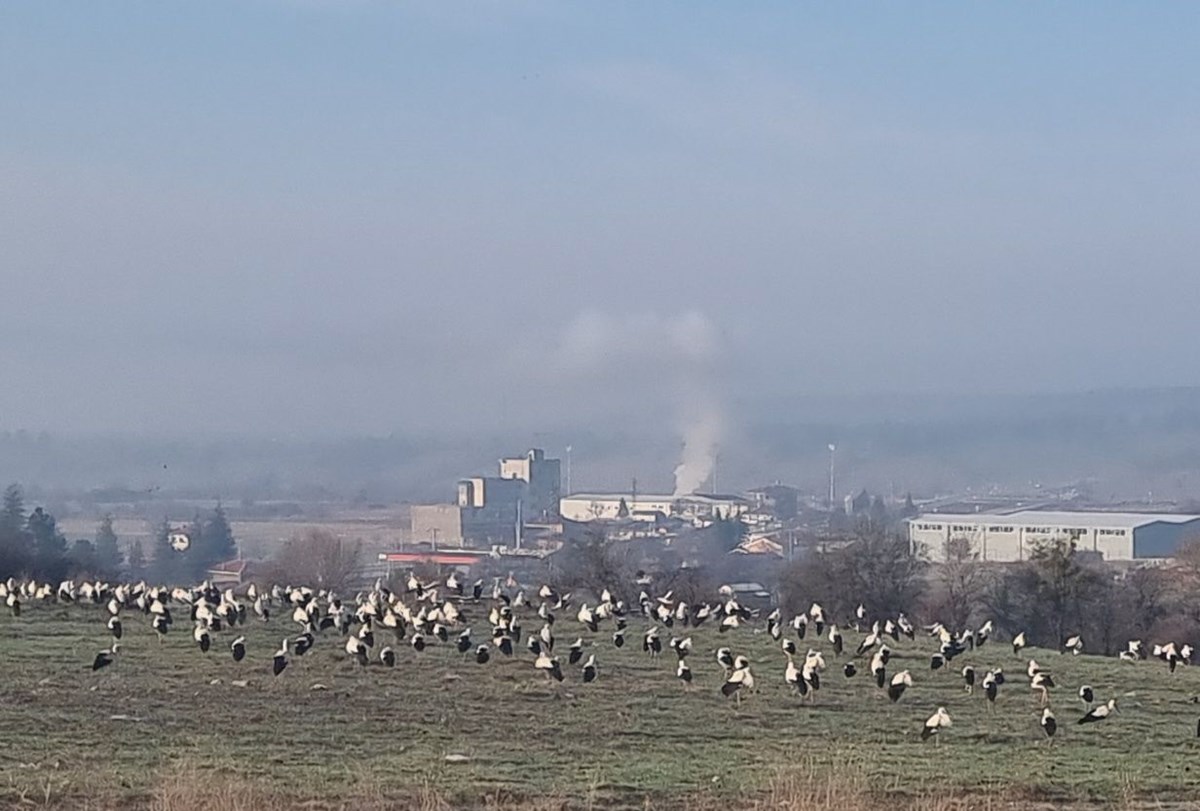 Göç yolunda mola