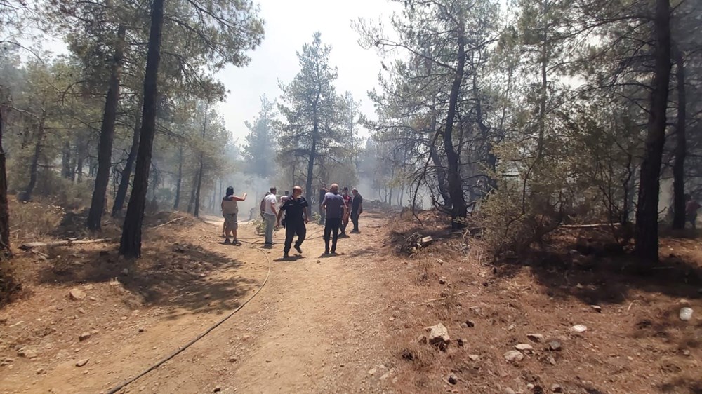 Datça'da orman yangını: Çıkış nedeni belli oldu - 15