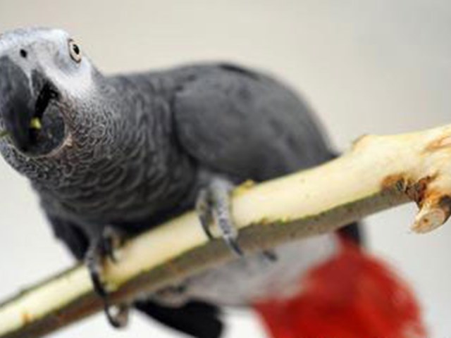 uzun yasamin sirri bu 7 canlida