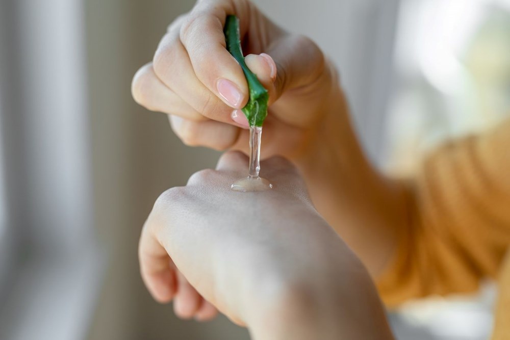 Aloe Veranın Karanlık Sırrı: Saçınız İçin Bilinmeyen Tehlike 73 86PAk7h2gEWkxYk IblmA