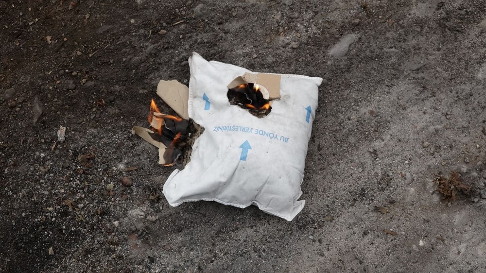 Trabzon'da kahverengi kokarca böceği istilası | Uzmanlar uyardı: Sakın elinizi sürmeyin - 6