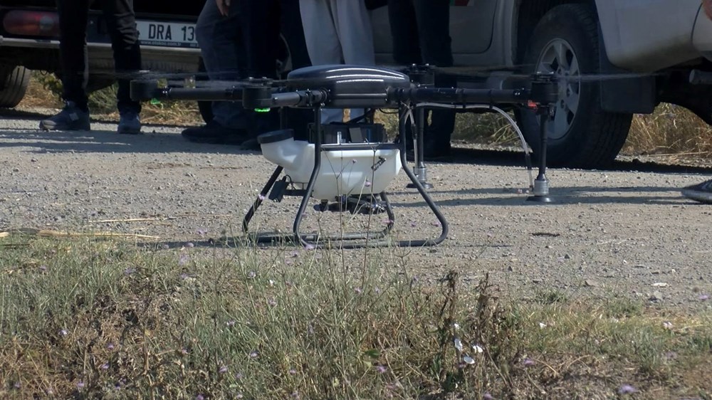 İstanbul'da sivrisinekler hastanelik etmeye başladı - 10