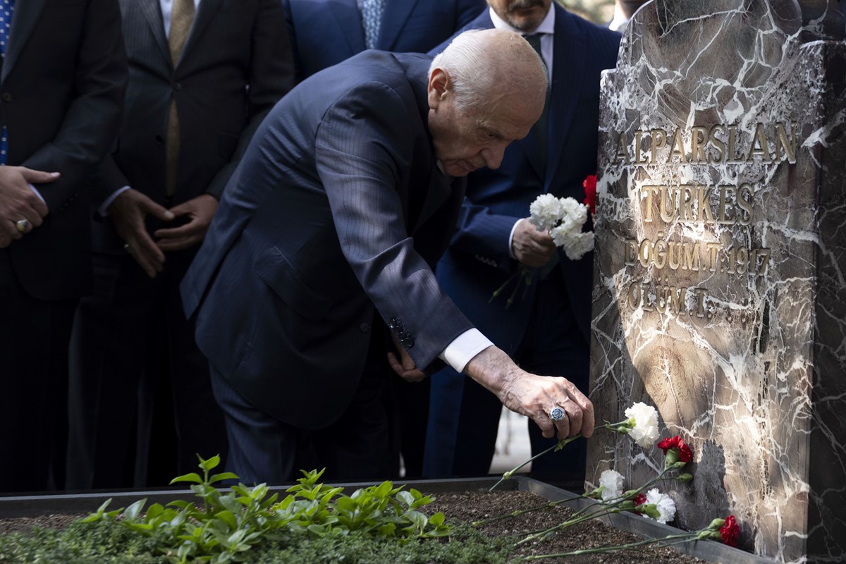 Bahçeli, Türkeş