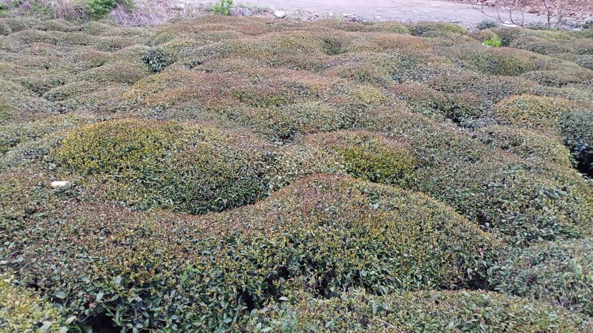8GEf-B6o30u4Imhi6dI7qg.jpg