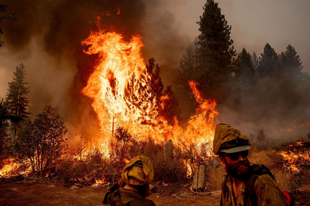 California'da orman yangını: 11 bini aşkın kişi tahliye edildi - 6