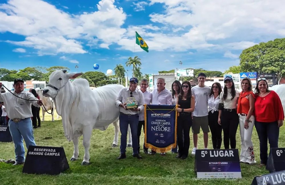 Dünyanın en pahalı ineği: 4 milyon dolara satıldı - 4