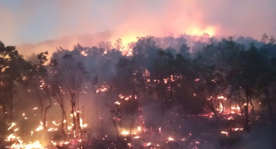 Bingöl, Malatya ve Siirt'te orman yangını - 2
