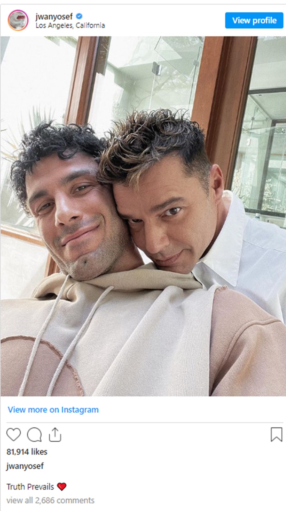 Yeğeni tarafından taciz ve fiziksel şiddet ile suçlanan Ricky Martin davayı kazandı - 6