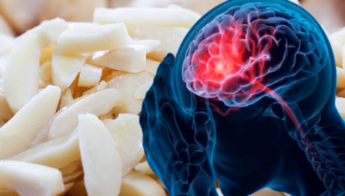 Hafızayı geliştirmede işe yarayan 3 besin: Beyni iyileştirip, Alzheimer riskini azaltıyor Hafızayı geliştirmede işe yarayan 3 besin: Beyni iyileştirip, Alzheimer riskini azaltıyor
