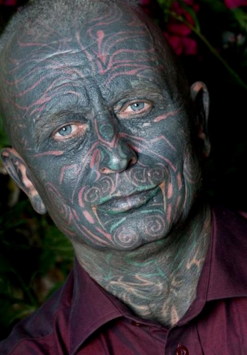 Владимир Франц