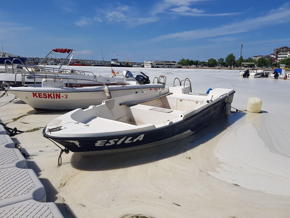 Çınarcık sahili deniz salyasıyla kaplandı - 2