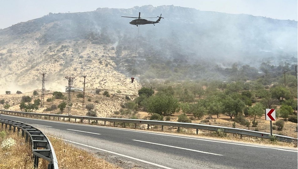 Mardin'de orman yangını: Rüzgarın etkisiyle yayıldı