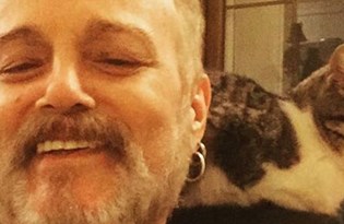 Istanbul Un Kedileri Almanya Da Ntv