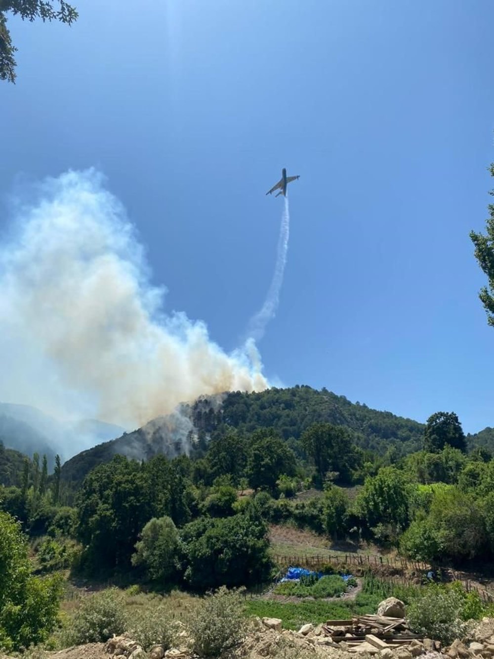 Antalya, Çanakkale, Manisa, Balıkesir, İzmir ve Kütahya’da orman yangını - 8