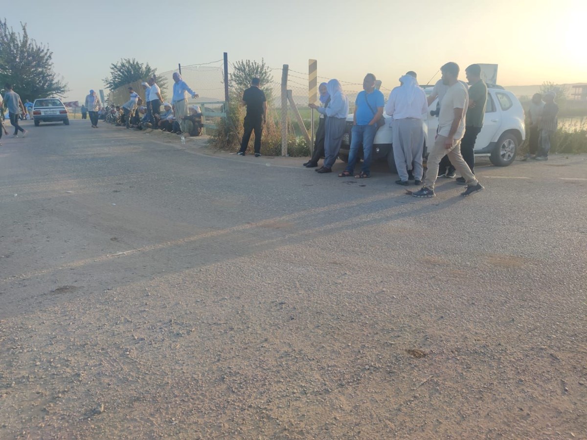 8NJ_Sr3AbUaQae1tDLZEXA.jpg