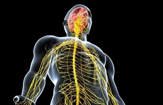 surekli usumenin 7 nedeni saglik