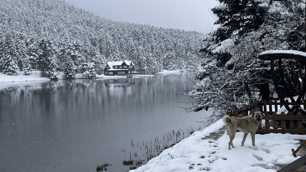 Gölcük Tabiat Parkı'ndan kar manzaraları - 5