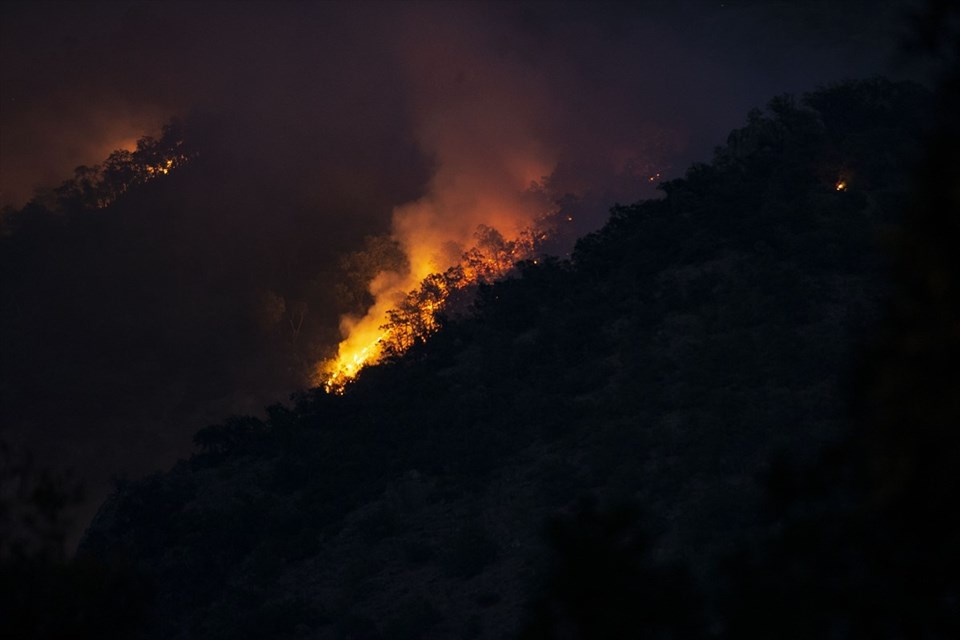 Tunceli ve Bingöl'de orman yangını - 3
