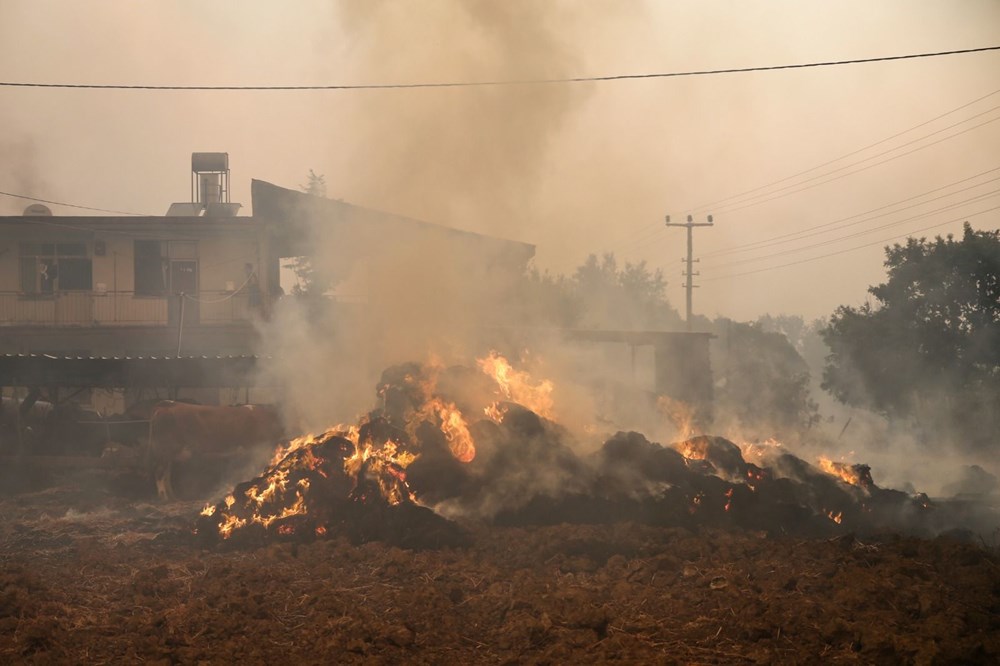 Antalya Manavgat'ta yangın: 3 ölü - 12