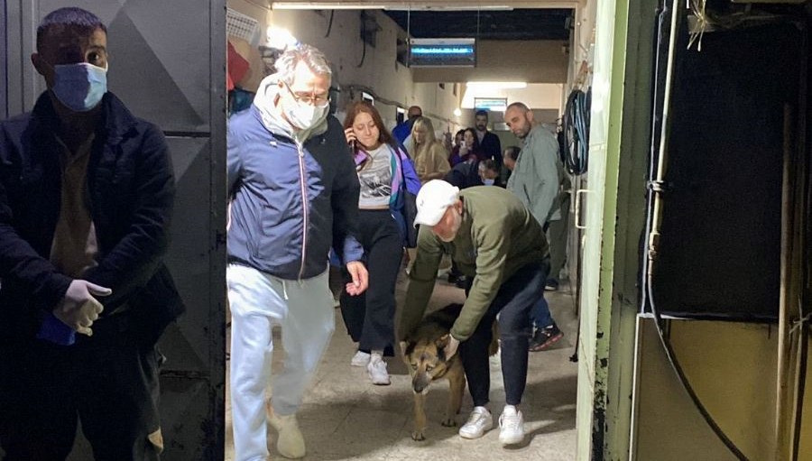 Gebze'den sonra Ümraniye: Barınaktaki görüntüler tepki çekti, belediyeden açıklama geldi