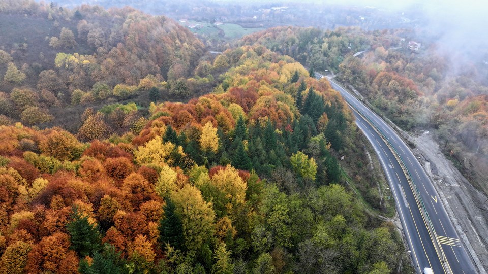 Bolu Dağı güzargahı eşsiz doğasıyla büyülüyor - 1