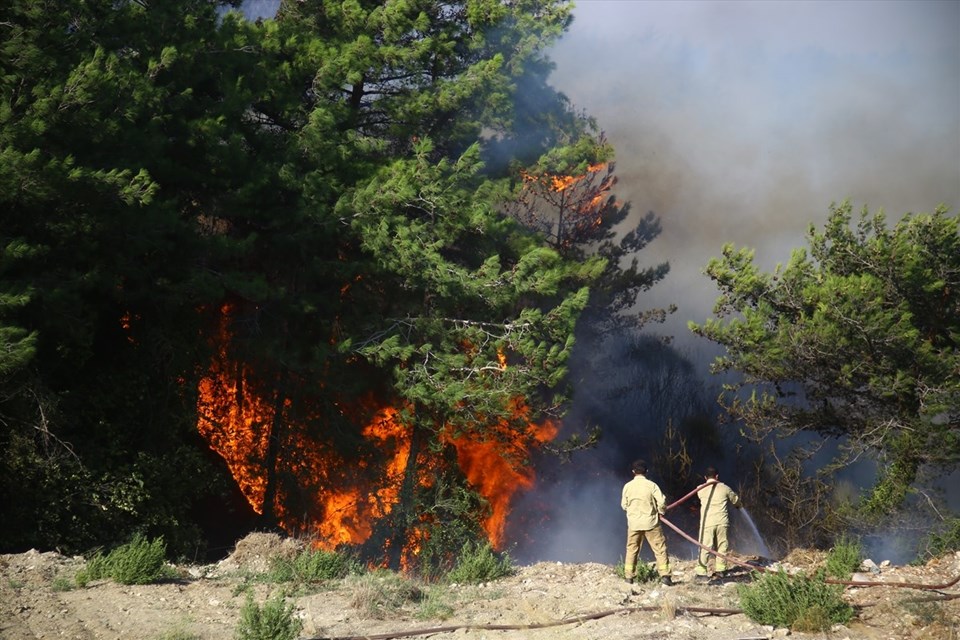 Hatay'daki orman yangınları kontrol altına alındı - 2