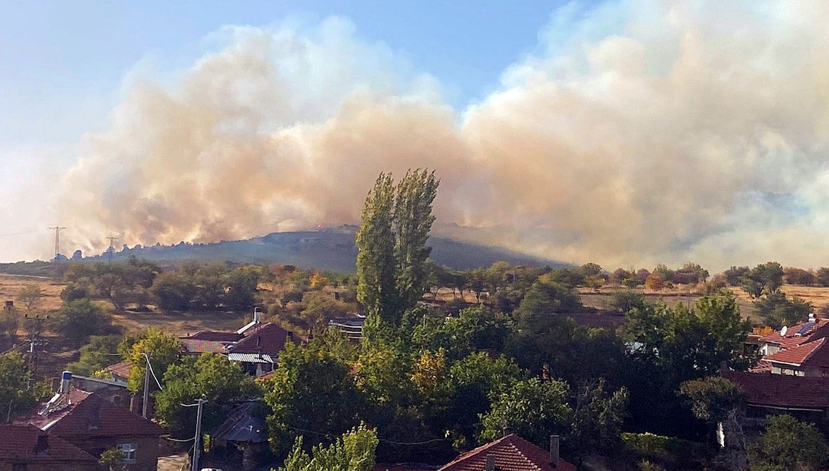 Eskişehir'de orman yangı