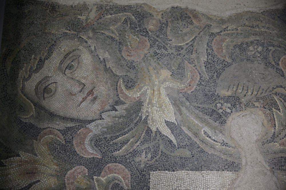 Aşil'in hayatı ve savaşçı Amazon kadınlarının mozaikleri Şanlıurfa'da - 9