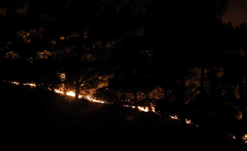 Manisa, Kahramanmaraş ve Antalya'da orman yangınları - 10