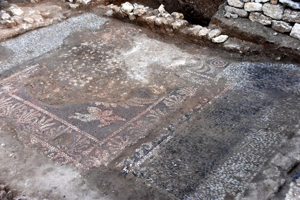 Balatlar kazısında Helenistik döneme ait kanatlı Eros figürü çıktı - 6