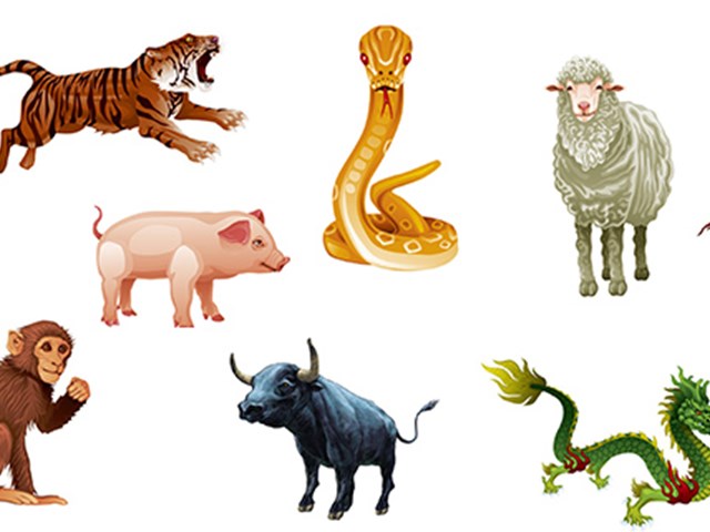 dogum yiliniza gore cin burcu nuz magazin haberleri ntv