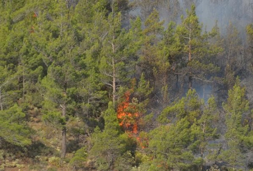 Hatay’daki orman yangınıyla ilgili istenen cezalar belli oldu - 2