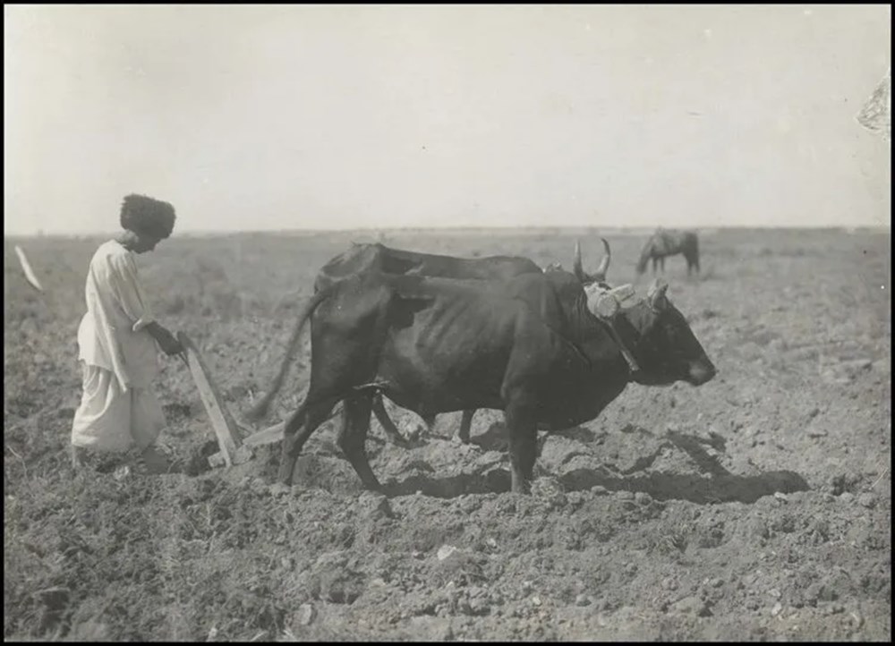 Bilim kurgu değil Türk boylarının 111 yıllık fotoğrafları. Gizemli heykeller, gelişmiş aletler, tanıdık kıyafetler (106 fotoğrafla gizemli Türk tarihi) - 56