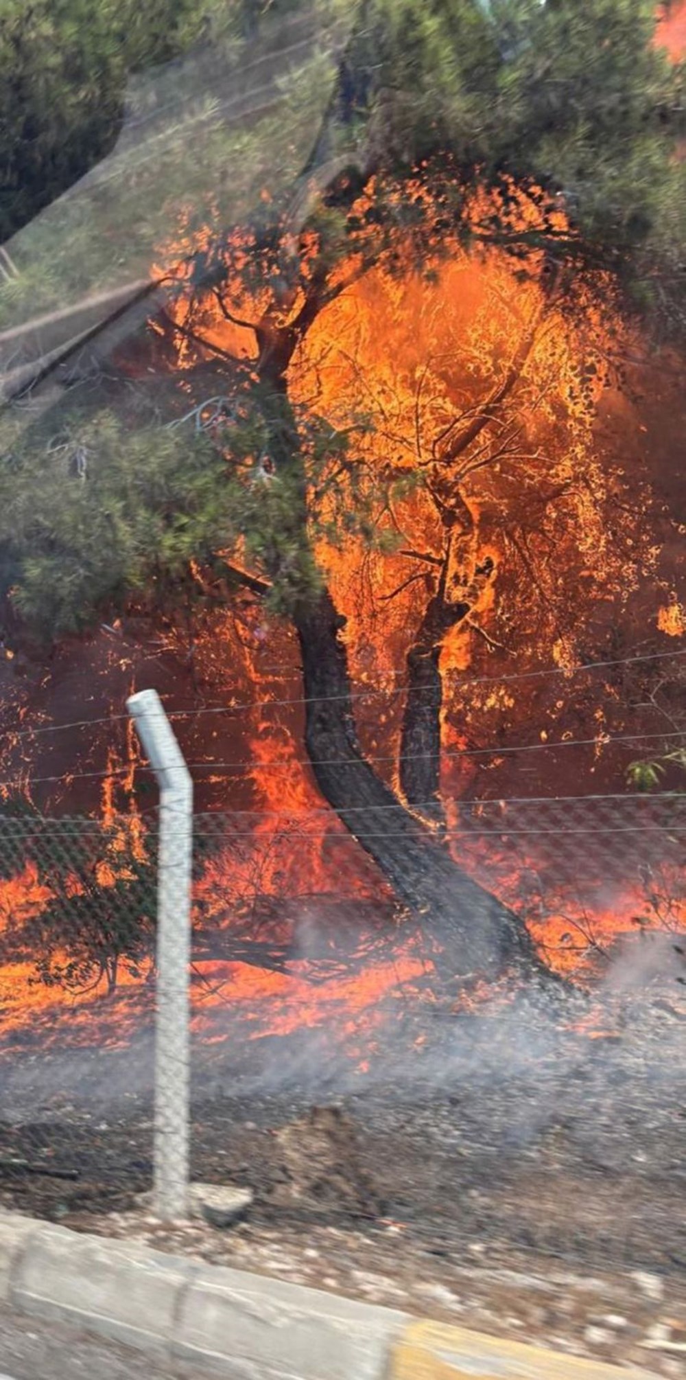 Orman yangınlarıyla mücadele | Bakan Yumaklı: Hava sıcaklıkları 10 derece daha artacak - 9