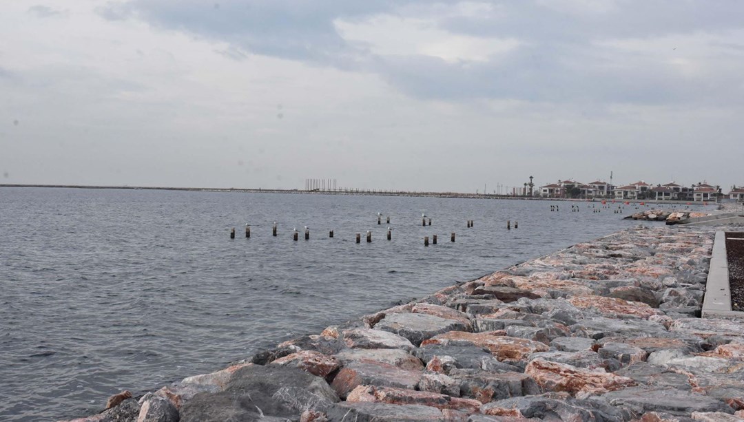 Enez'den Dalaman'a kadar karış karış taradılar: Ege kıyılarında yeni tehlike